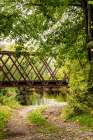USA, Vermont, Whiting. 1896 metal railroad trestle bridge over tributary to Otter Creek. Art Print